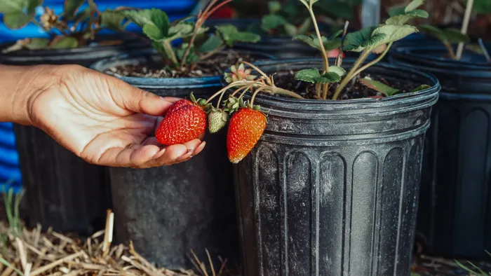 How to Prevent Drainage Problems Without Annoying Your Neighbors